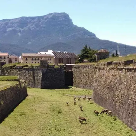 Apartamento Aledanos Apartment Jaca